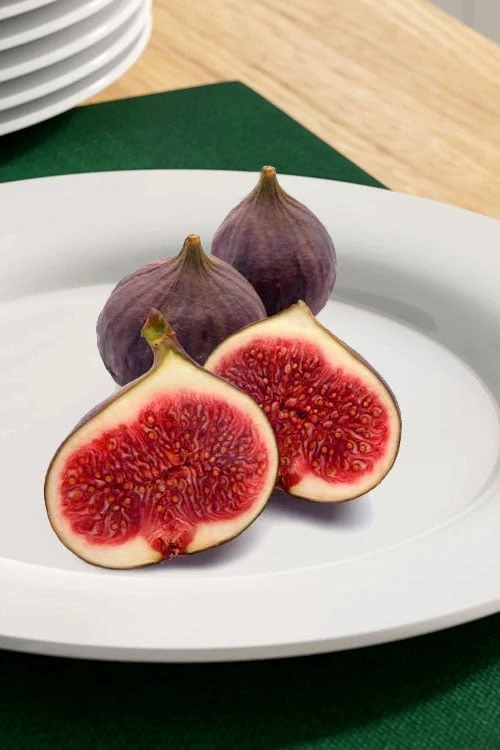 Texas Everbearing Fig Tree - 3 Gallon Pot - Image 4